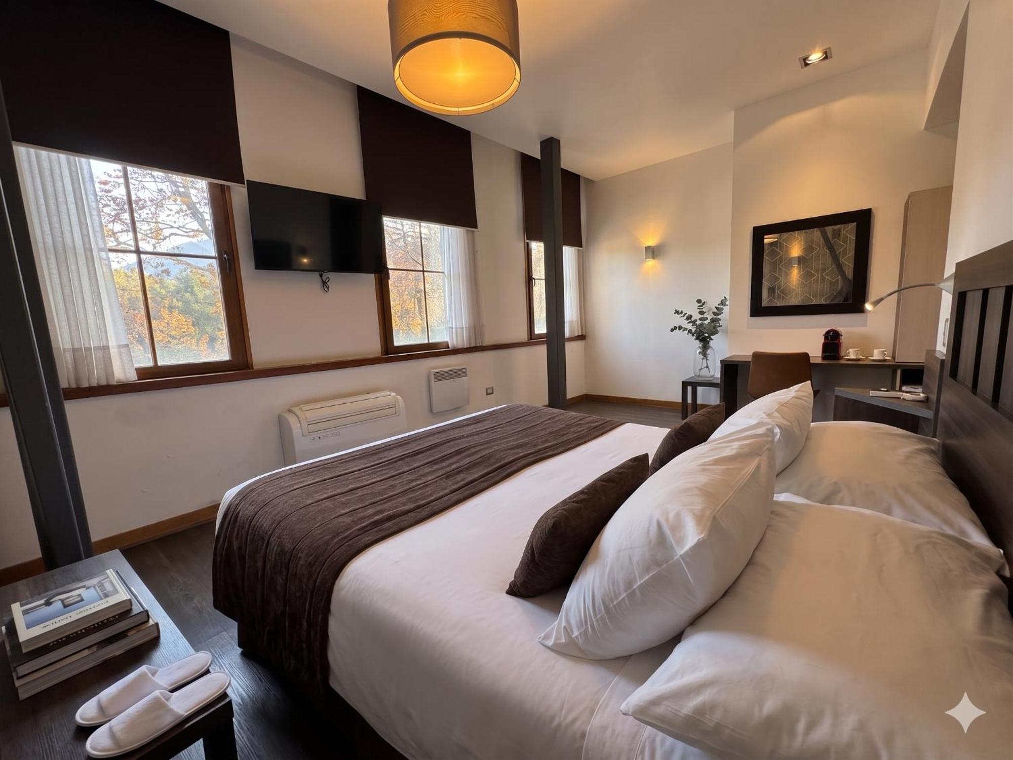 Superior Double Room with Park View
